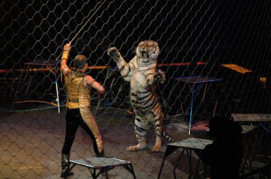 Edy williams ringling bros. sirkte