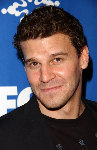 David Boreanaz — Stock Photo, Image