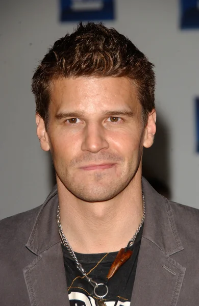 David Boreanaz — Stock Photo, Image