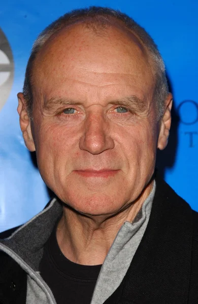 Alan dale w disney - abc television grupy wszystkie party gwiazdy. ritz-carlton huntington hotel, pasadena, ca. 01-14-07 — Zdjęcie stockowe