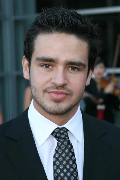 Alejandro Salomon en los 22º Premios Anuales Imagen a la Excelencia en Entretenimiento Latino. Walt Disney Concert Hall, Los Ángeles, CA. 07-28-07 —  Fotos de Stock