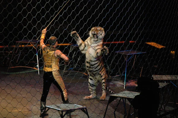 Edy williams ringling bros. sirkte