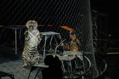 Edy williams ringling bros. sirkte