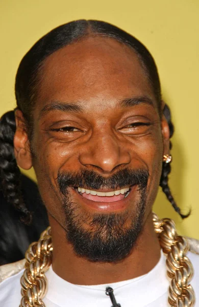 Snoop Dogg. — Foto de Stock