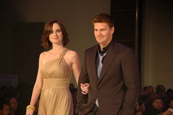 Sarah Wayne Callies and David Boreanaz — Stock Photo, Image