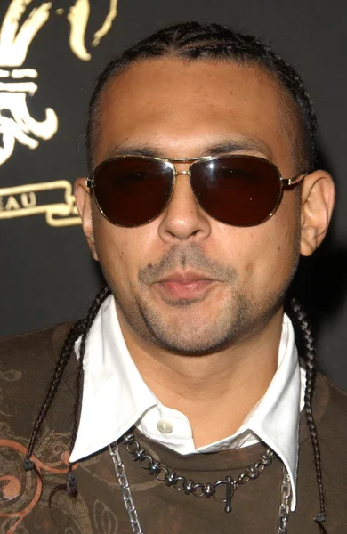 Sean Paul — Foto de Stock