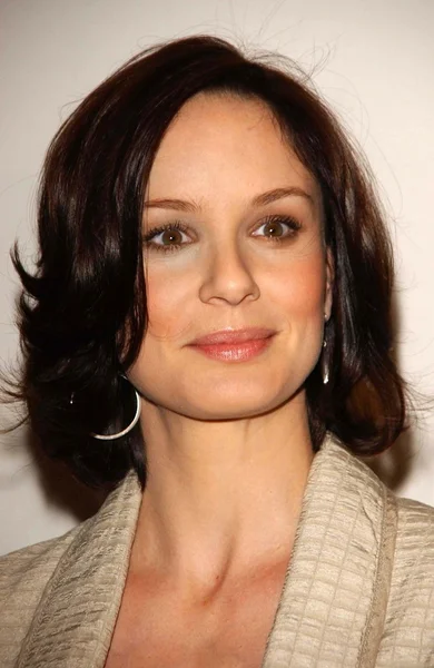 Sarah Wayne Callies — Stock Fotó