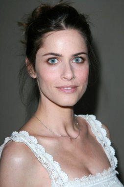 Amanda Peet