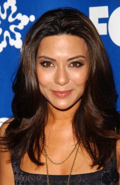 fox all-star Kış 2007 tca basın turu partisi