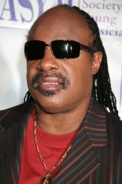 Stevie Wonder