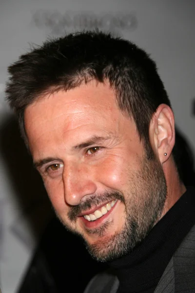 David Arquette — Stockfoto