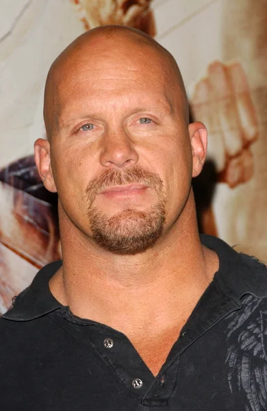 Steve Austin — Stock Photo, Image