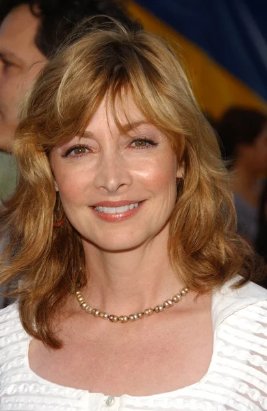 Sharon lawrence — Zdjęcie stockowe