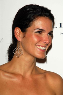 Angie harmon