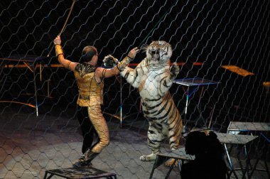 Edy williams ringling bros. sirkte