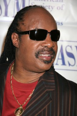 Stevie Wonder