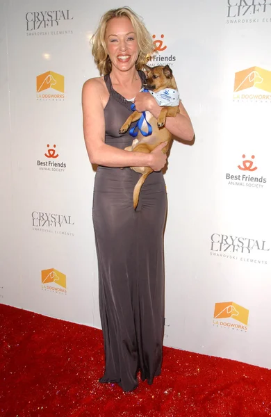 Kristal köpek defile