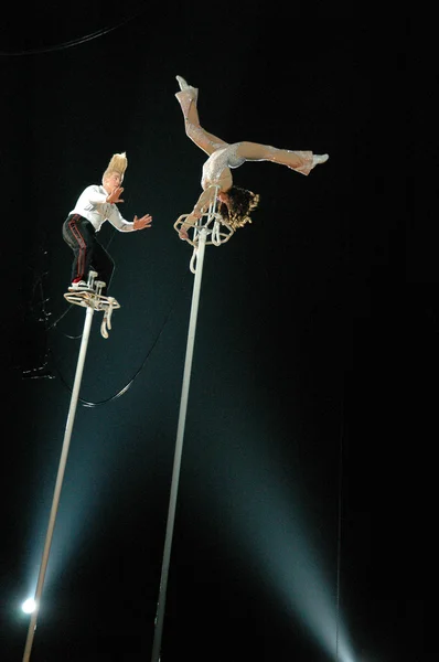 Edy williams in het ringling Bros circus — Stockfoto