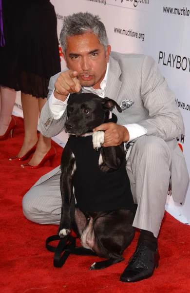 "Bow Wow Wow "Celebrity fundraiser för mycket kärlek Animal Rescue — Stockfoto