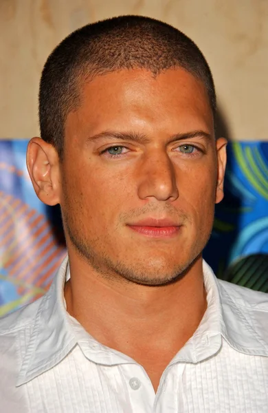 Wentworth Miller — Stock Photo, Image