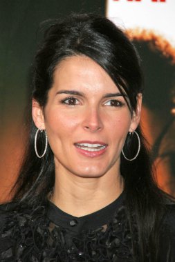 Angie harmon