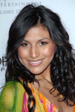 2007 clive davis pre-grammy Ödülleri partisi