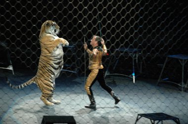 Edy williams ringling bros. sirkte