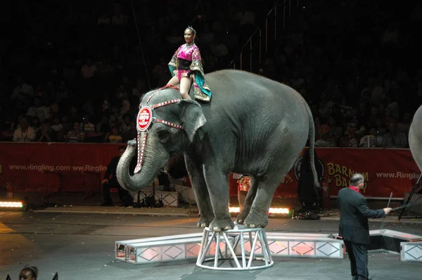 Edy williams ringling bros. sirkte
