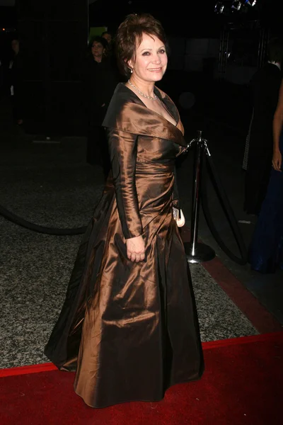 Adriana barraza på paramount föreställer 2007 golden globe awards efterfesten. Beverly hilton hotel, beverly hills, ca. 01-15-07 — Stockfoto