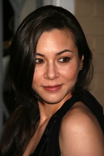 China Chow — Stock Photo, Image