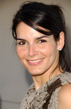 Angie harmon