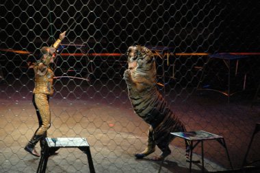 Edy williams ringling bros. sirkte