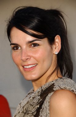 Angie harmon