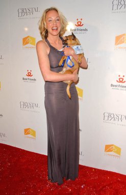 Kristal köpek defile