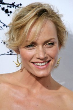 Amber Valletta