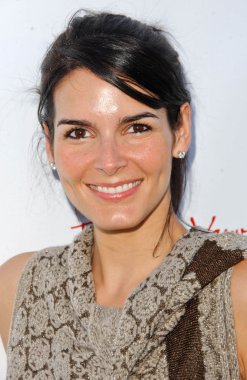 Angie harmon