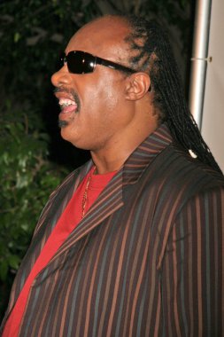 Stevie Wonder
