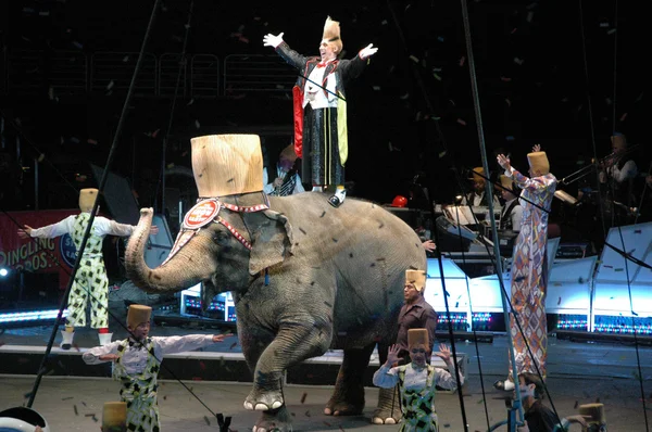 Edy williams in het ringling Bros circus — Stockfoto