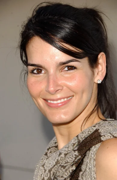 Angie harmon — Stockfoto