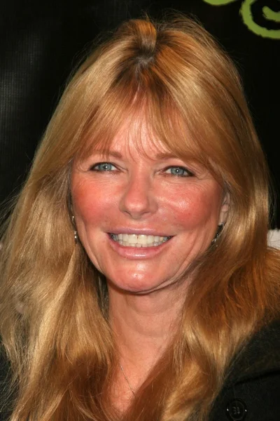 Cheryl Tiegs — Stock Photo, Image