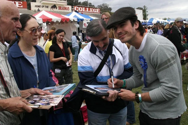 Ian Somerhalder — Stock Fotó