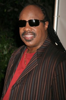 Stevie Wonder