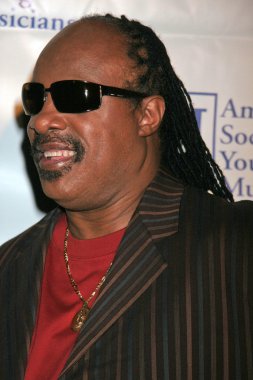 Stevie Wonder