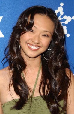 fox all-star Kış 2007 tca basın turu partisi