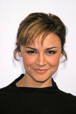 Samaire Armstrong