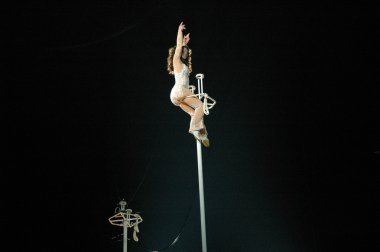 Edy williams ringling bros. sirkte