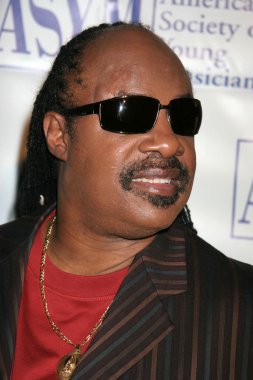 Stevie Wonder