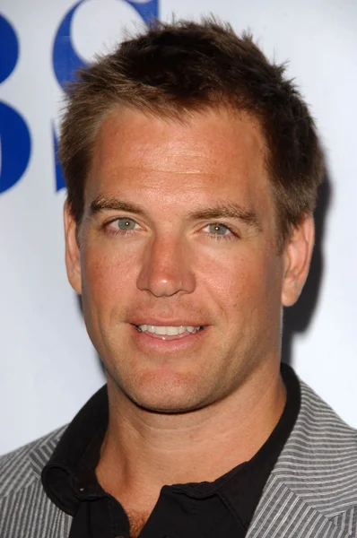 TCA 2007 cbs yaz basın turu