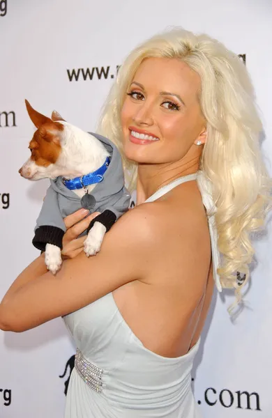 "Bow Wow Wow" Celebrity Fundraiser For Much Love Animal Rescue — Stock Photo, Image