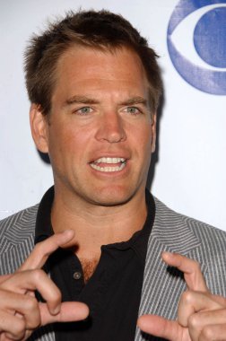 TCA 2007 cbs yaz basın turu